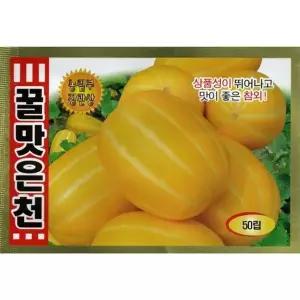2026 씨앗 꿀맛은천 참외