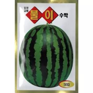 2026 씨앗 불이 수박