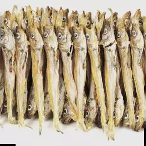 안주 (햇) 줄노가리 100마리 말린/건조 노가리