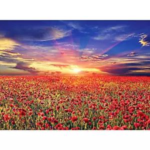 미니 1000피스퍼즐 석양과 꽃밭 양귀비 FWB07688