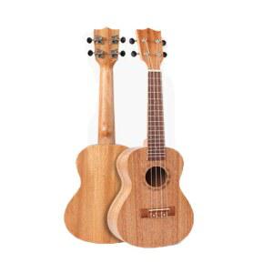 입문 초급용 미니 스프 이미지참고 기타 스케일 버스킹 초보 교육 화음 NOVA