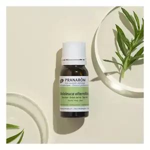 진정정화 프라나롬 티트리 오일 10ml 185676