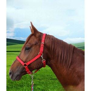 고삐 조랑말 굴레 칼라 조절 체험장 마장마술 마방 말타기 로프 말굴레 미만 소형