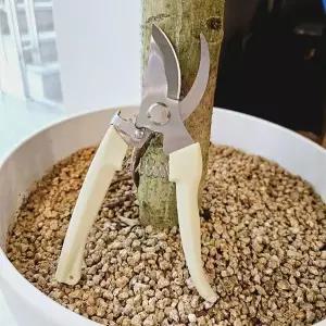 [하프클럽/셀러허브_여성트랜드패션]전지가위 가지치기 조경 분재 정원