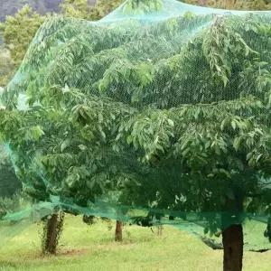 방조망 농작물 비둘기망 그물망 2x10M 새보호망 비둘기그물망 조류망 참새그물 새그물망