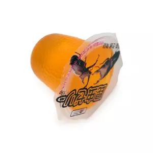 어린이스낵 토고캔디 사슴벌레용젤리 젤리방지제 별모양간식 별모양간식물 장수풍뎅이용젤리 맛있는간식 산딸기맛 어린이반찬 곤충용 젤리장수풍뎅이 사슴벌레용 16gx10P 애완 젤리