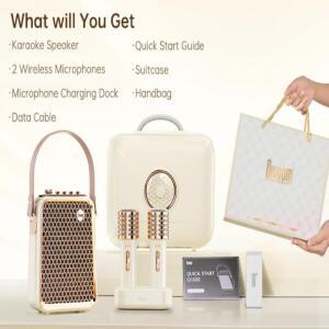 디붐 송버드-HQ2 노래방 기계 2 무선 50W 사운드 블루투스 스피커 오디오 믹서 시스템 가정용 야외용 TF/AU