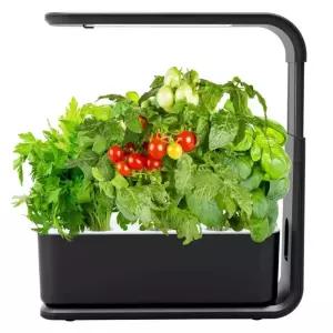 상자 지능형 키우기 새싹 식물 상추 수경 야채키우기