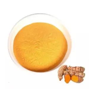 [하프클럽/오티마트]강황추출분말 20kg