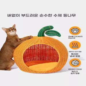 오렌지 고양이 강아지 하우스 베드 애견 캣 반려 둥지 집 해먹 요람 침대