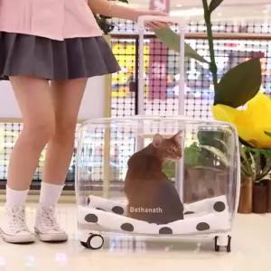 고양이 투명캐리어 이동장？반려묘 반려견 애완동물 기내용 투명 백팩