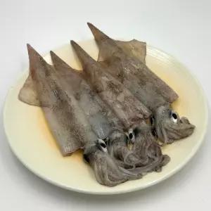 냉동한치 동해안 급냉 한치 2kg (30미내외) 통한치