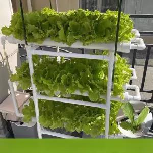 가정용 스마트팜 아쿠아포닉스 미니가든 상추 재배기