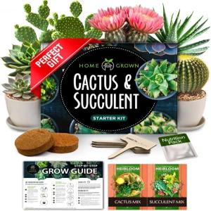 심을 수 있는 홈 그로운 다육 및 선인장 씨앗 키트 - [팬들이 좋아하는] 프리미엄 스타터 화분 4개 드립