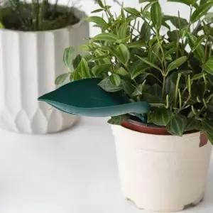 나뭇잎 물주기용 깔대기 화분 화분물주기 물조리 식물물주기 화분물조리개 꽃물주기