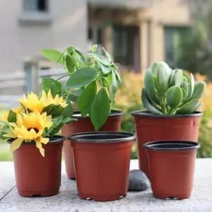 화분 15.5cm 포트 모종 이색 지름 미니꽃화분 소형화분 포트화분 비닐화분 선인장화분