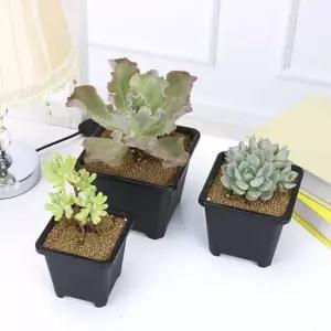 14 사각 화분 다육이 X 플라스틱 14cm 미니꽃화분 소형화분 포트화분 비닐화분 선인장화분