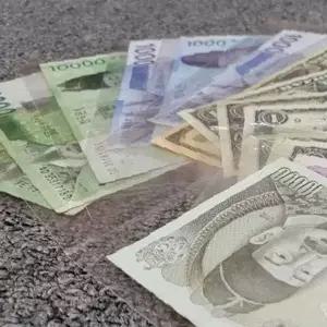 쌍문상회 지폐수집 홀더 100장 동전 앨범 보관팩 돈 코인 비닐