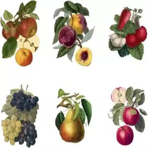 슈퍼덴트 빈티지 과일 벽 스티커 포도 복숭아 장식 주방 레트로 컨트리 아트 필 앤 스틱 냉장고 캐비닛