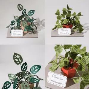 펠트 화분 장식 몬스테라 알로카시아 선인장 데코 식물