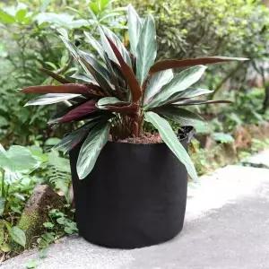 가드닝 부직포 화분 2p세트 30x25cm 감자 상추화분 실