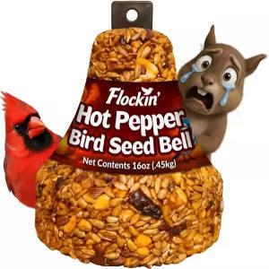 핫 페퍼 버드 씨앗 종 ？ 다람쥐 방지 스파이시 간식 카디널스 딱따구리 블루제이스 치커디 및 송버드를