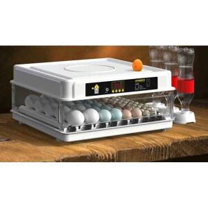 소형 부화기 알 달걀 거위 조류 36알 급수 오리 닭 메츄리