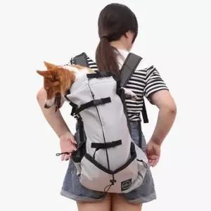 [반려] 이동장 가방 강아지 XL 외출 포대기 산책 백팩 반려동물 강아지