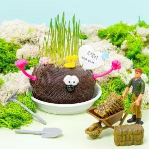 밀싹 잔디인형 꾸미기 식물키우기 엄마표미술놀이 잡초 과학준비물 재배키트 관찰수업