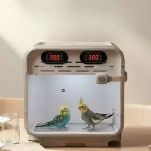 병아리 육추기 애완조 조류 키우기 가열 미니 공기 사육장