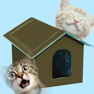 느낌상점 길냥이급식소 고영희 애견 실외 밥집 카페 길고양이 하우스