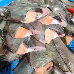 포항 알가자미 중대 550g(2~3미)