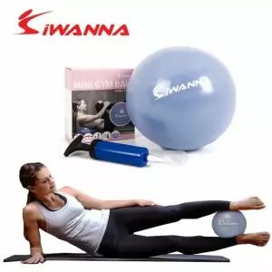 미니 짐볼 25cm 운동 볼 펌프포함