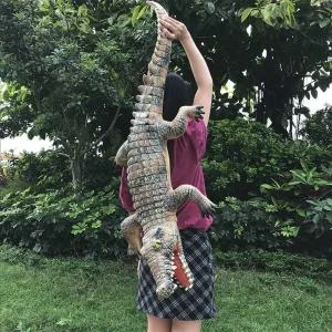 악어 피규어 거대한 장식 야생 장식품 장난감