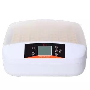 조류 병아리 부화기 달걀 전란기능 습도조절 자동 탐구생활 닭 계란 농업 교육