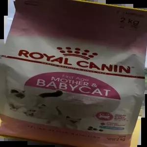마더 로얄캐닌 앤 베이비 캣 고양이 반려묘 사료 2kg