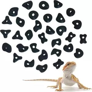 수염 용을 위한 오쿠에주르 32PCS 암벽 등반 용 탱크 액세서리를 그립 파충류 장난감 등반(풀 아님) 보유