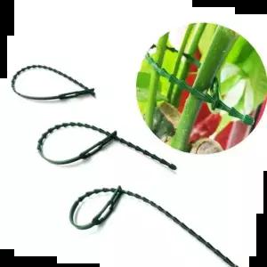 화분지지대 원예용 식물 고정끈 (고추 오이 줄기 지지대) 11cm