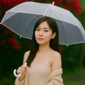 (색상 투명)예쁜 투명 자동 튼튼한 비닐 가벼운 우산