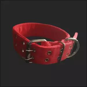 PP 밸트 개목줄 50mm 70cm 빨강 러프웨어목애완줄 강아지목걸이 산책 개목 반려견 댕댕이목 강아지목 견목