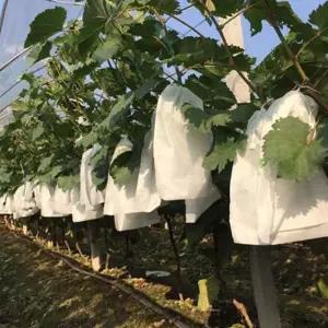 가든용 메쉬 주머니 100개 포도 보호 방염 해충열매 농장 과일싸개 싸게 농작물