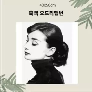 (OH) 명화유화그리기 A-179 흑백오드리헵번중형 40x50그리기 그리기 취미생활 킬링타임 DIY그리기 집콕