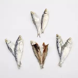 VB 밴댕이 식당용 육수내기 AA급 7-9 사이즈 1.5kg 1박스건조 건밴댕이 말린 마른 국물 국물용 용건어물 내