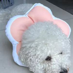 꽃피는 강아지 고양이 쿠션 넥카라 핑크 L 목 깔대기수술용품 수술용 애견 견커버 깔때기 카라