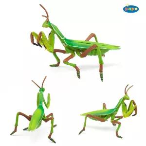 파포 50244 곤충 모형 완구 사마귀피규어 규어 장난감 인형 교구