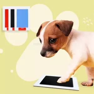 늘하스토어 발도장 스탬프 애기발도장