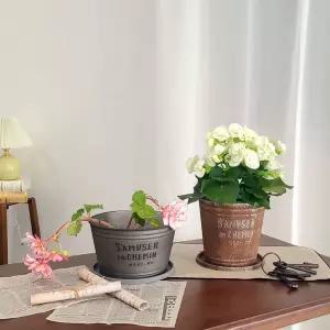 피클레온 양철 스타일 높은 원통 화분 (대) 27x25cm미니 대형 중형 거실 베란다 가드닝 플라스틱 인테리어