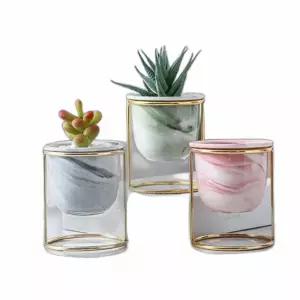 세라믹 다육이 미니 화분 예쁜선물 실내식탁화분 식물 현관 예쁜 디자인 집화분 테이블 선물용 선인장 꽃화