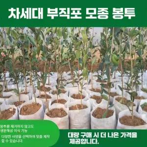 Illen 부직포화분 옥상텃밭 부직포화분대형 100개 500개 세트