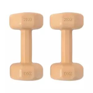 컬러 육각 아령 2p 2kg 오렌지 덤벨 홈트레이닝 팔 운동 용품 PVC 헬스 팔운동 에어로빅
